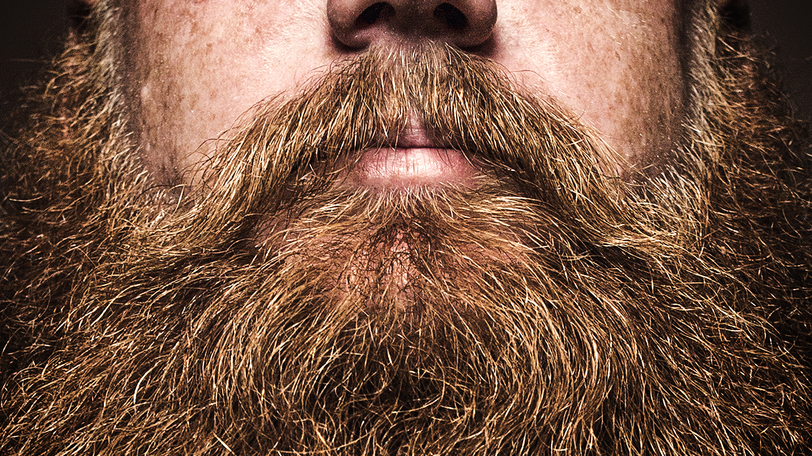 Beard Shampoo vs Normal Shampoo