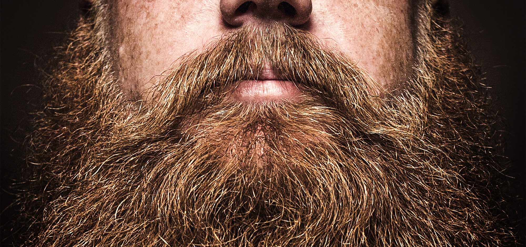 Beard Shampoo vs Normal Shampoo