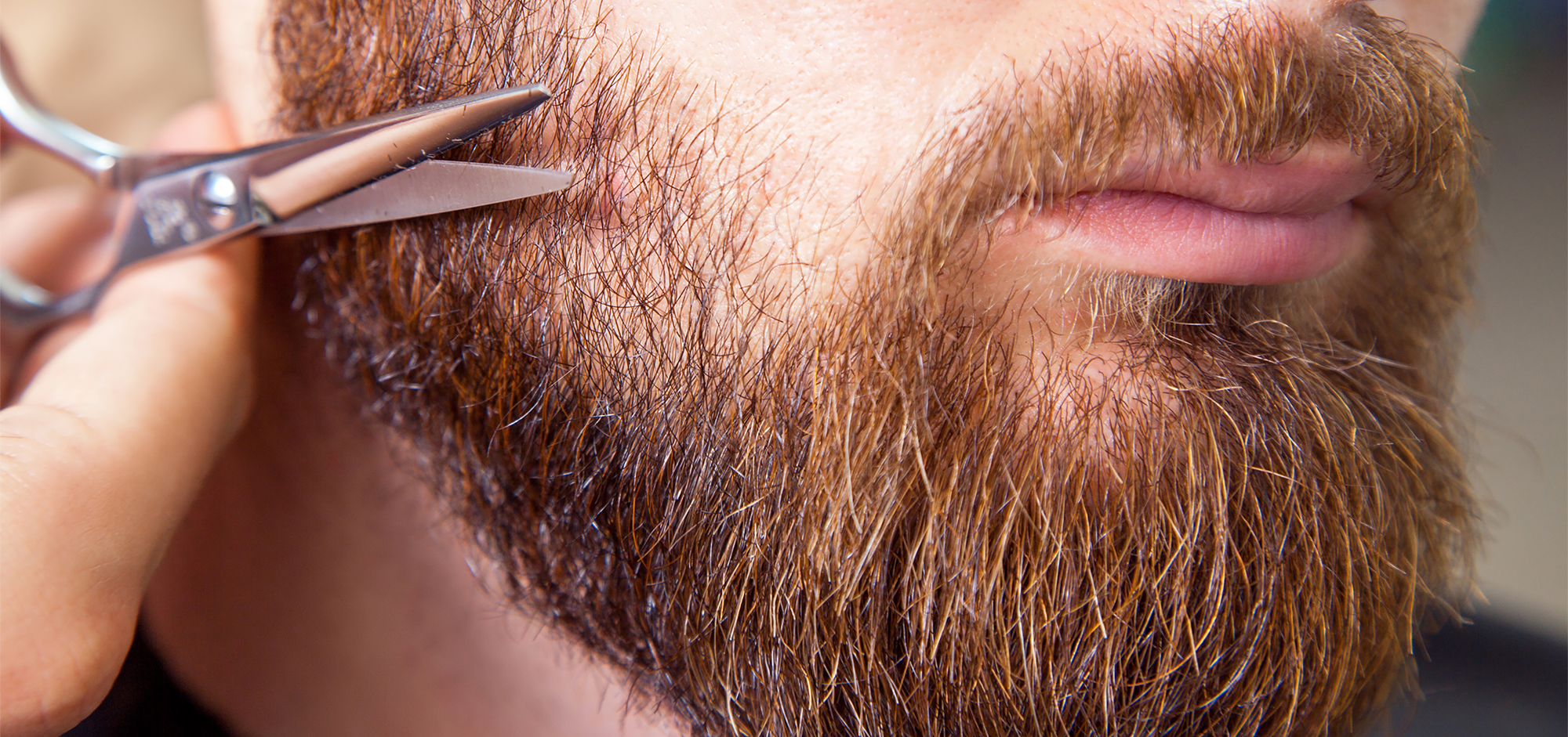Blog on beard grooming tips and the easy steps  you can take to maintain a great looking beard.